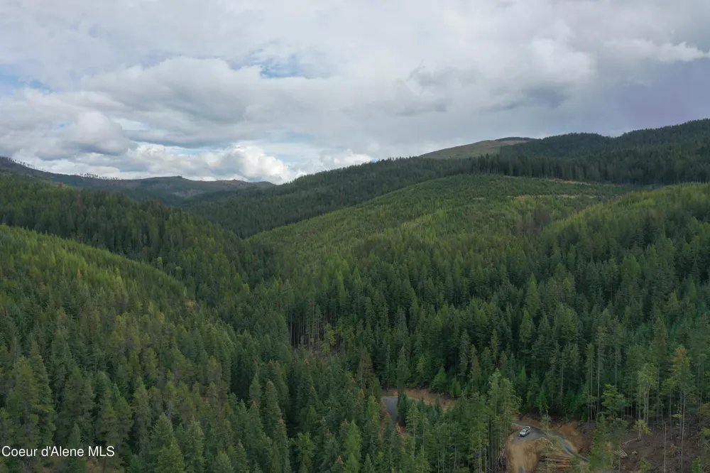 700 White Pine Way Fernwood, ID 83830