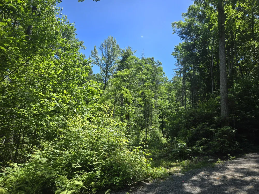 Holder Cemetery Road Tellico Plains, TN 37385