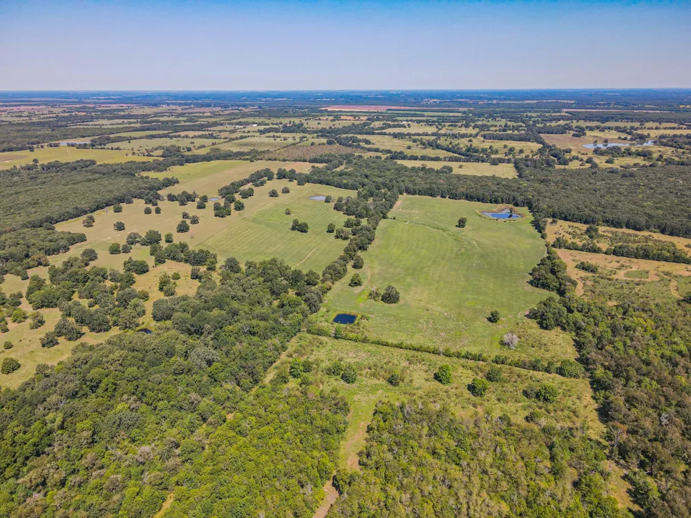 County Road 1280 Lake Creek, TX 75481