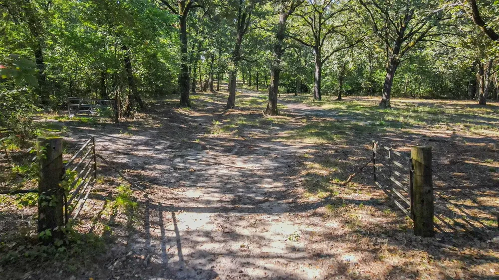 County Road 1280 Lake Creek, TX 75481
