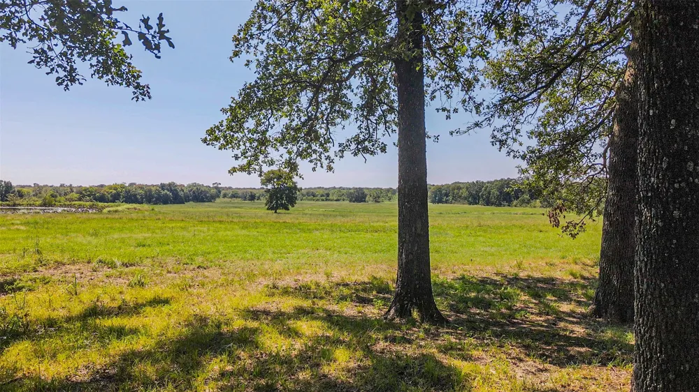 County Road 1280 Lake Creek, TX 75481