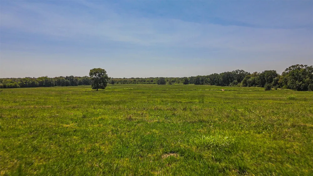 County Road 1280 Lake Creek, TX 75481