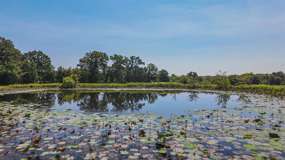 County Road 1280 Lake Creek, TX 75481