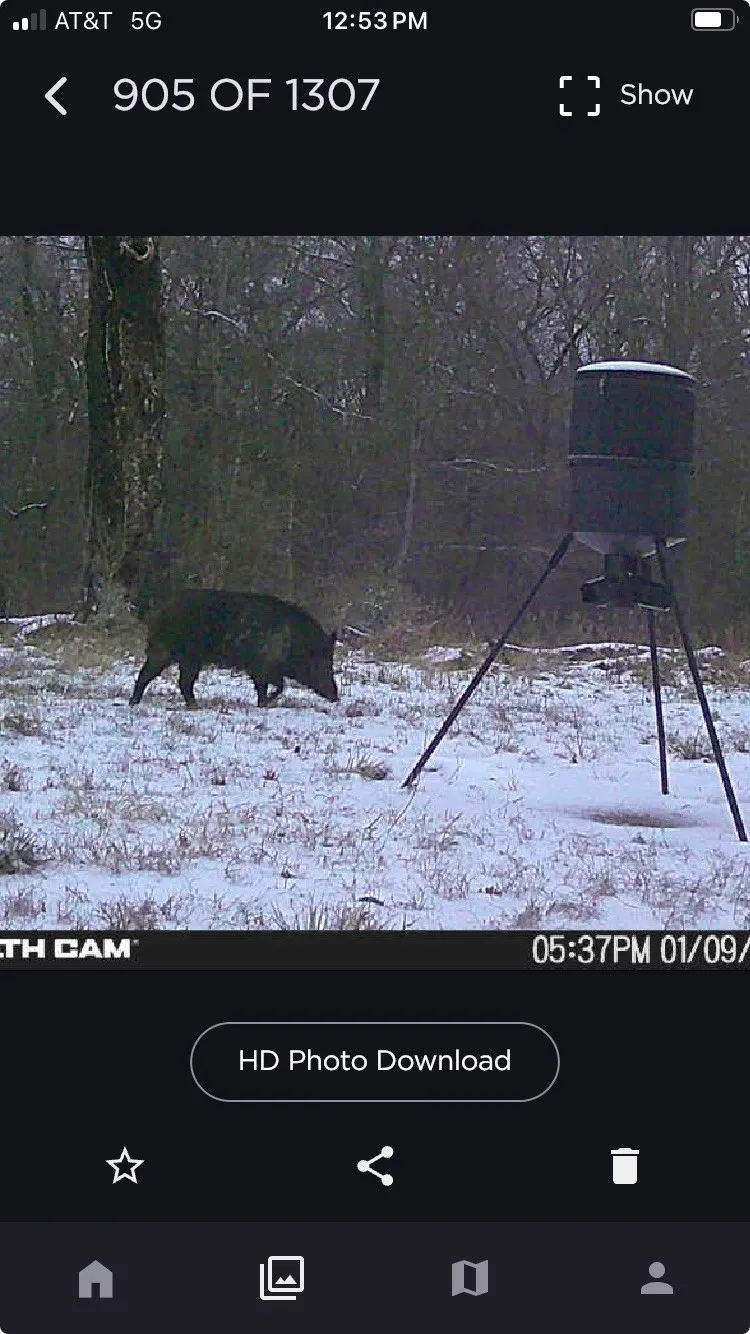 County Road 1280 Lake Creek, TX 75481