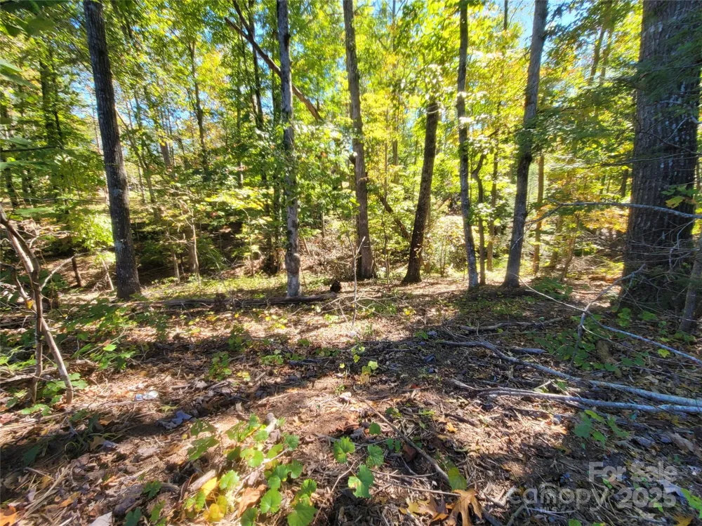 0 Horse Creek Drive #14 Mill Spring, NC 28756