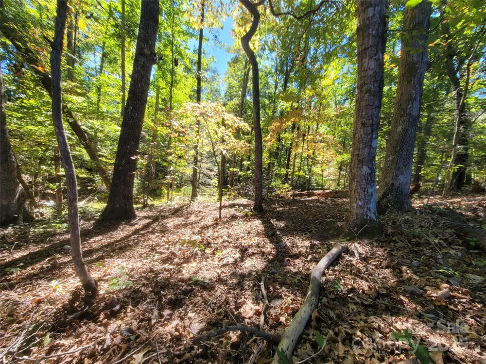 0 Horse Creek Drive #14 Mill Spring, NC 28756