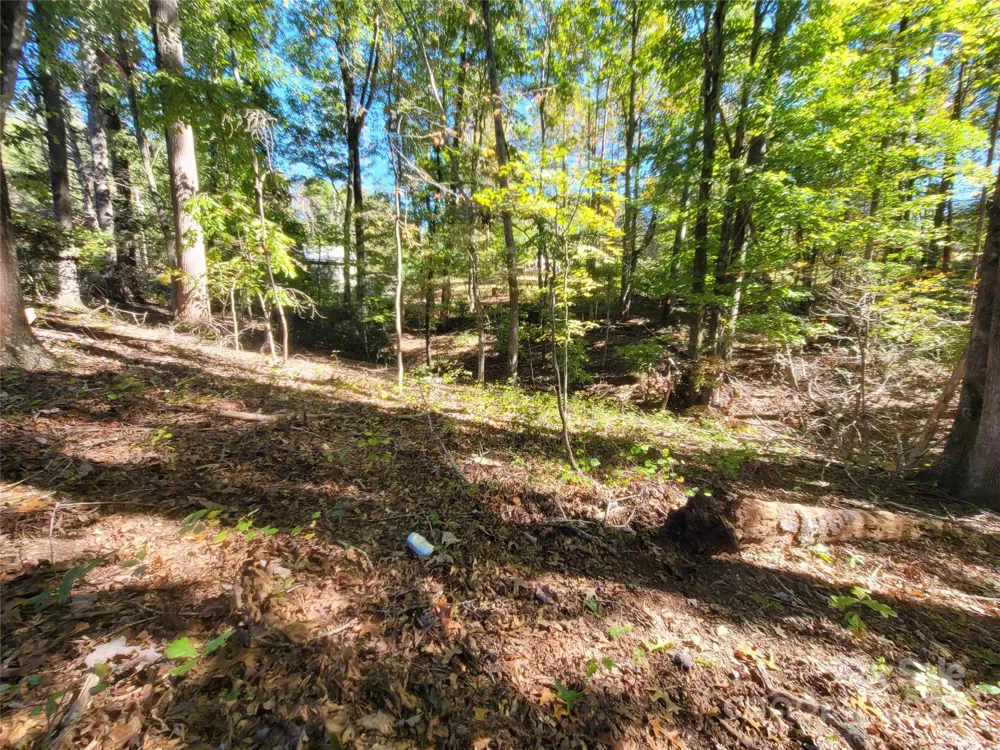 0 Horse Creek Drive #14 Mill Spring, NC 28756
