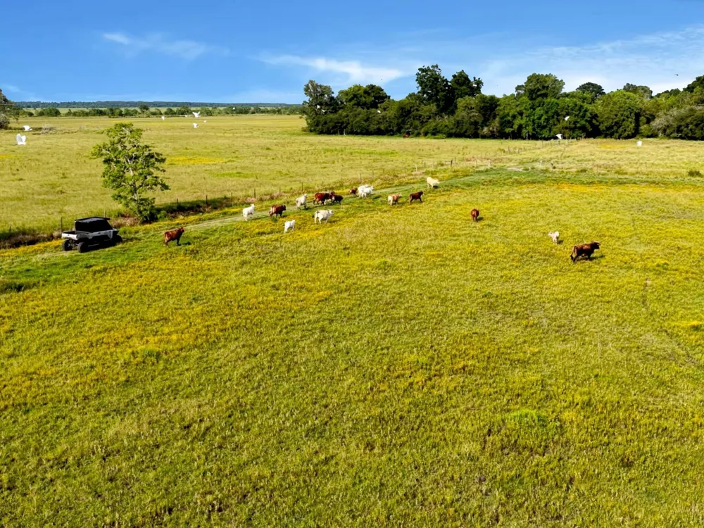 Hwy 65 Anahuac, TX 77514