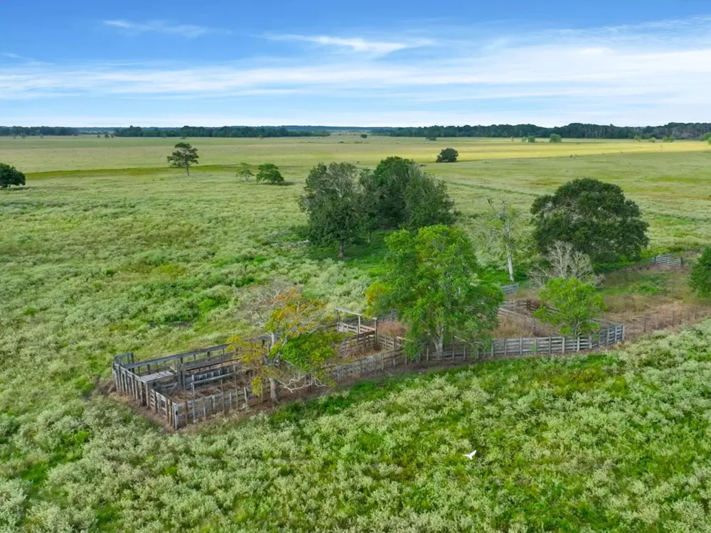 Hwy 65 Anahuac, TX 77514