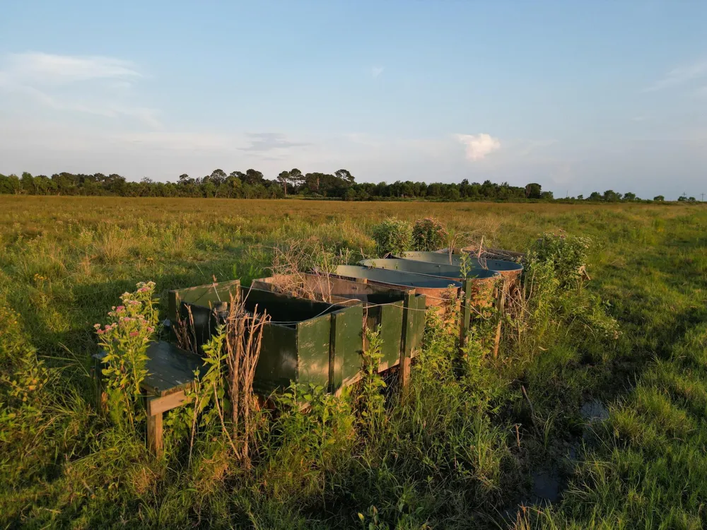 Hwy 65 Anahuac, TX 77514