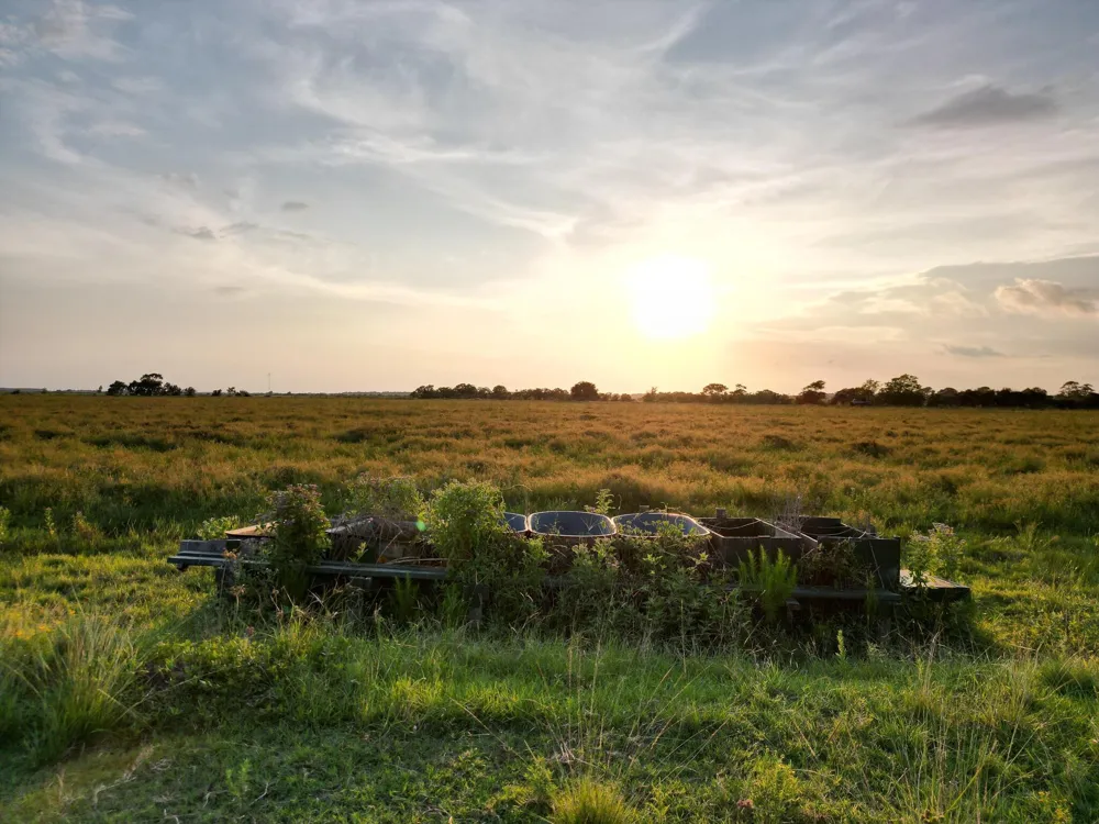 Hwy 65 Anahuac, TX 77514