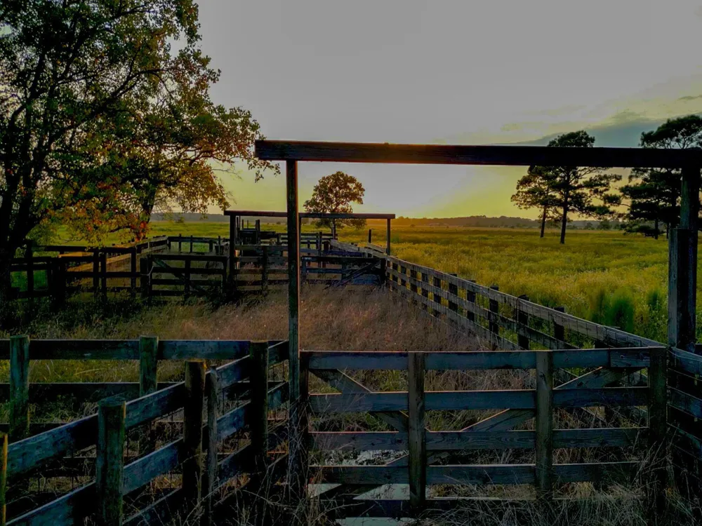 Hwy 65 Anahuac, TX 77514
