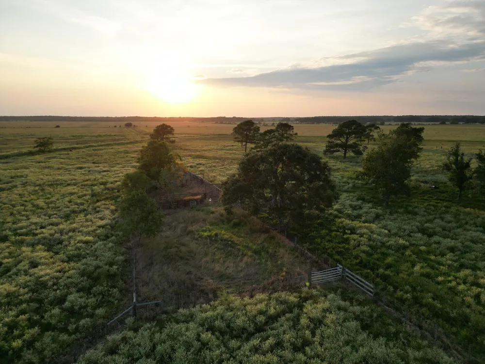 Hwy 65 Anahuac, TX 77514