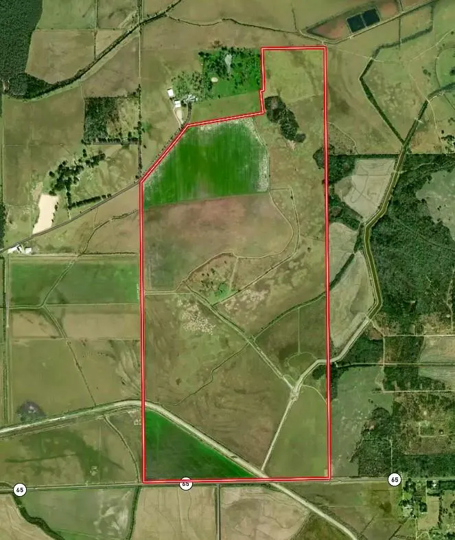 Hwy 65 Anahuac, TX 77514