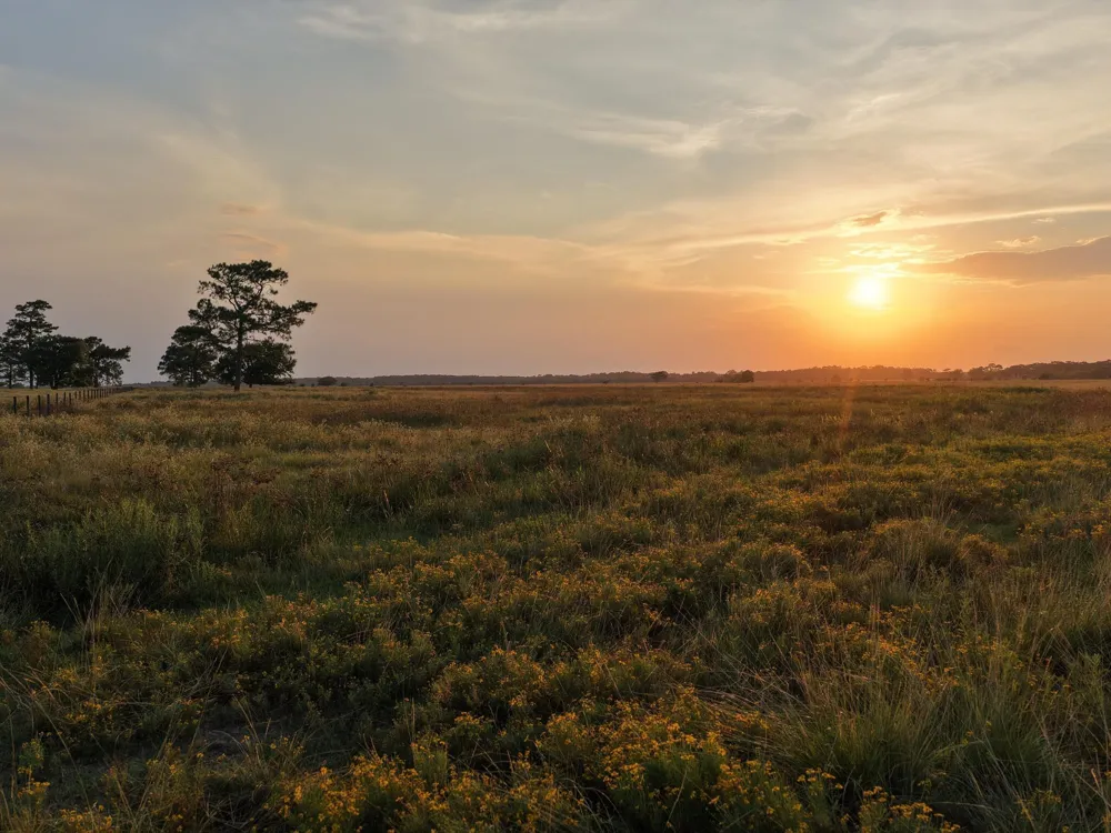 Hwy 65 Anahuac, TX 77514