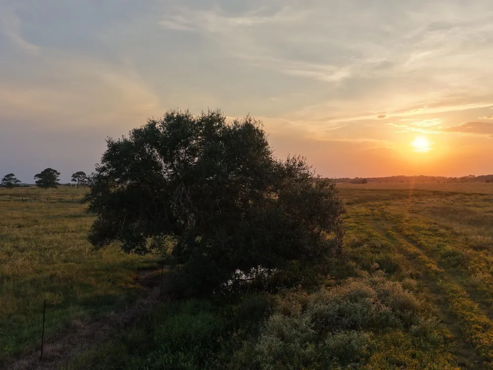 Hwy 65 Anahuac, TX 77514