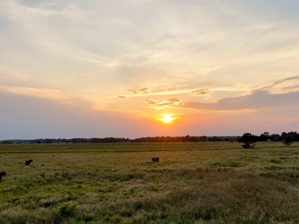 Hwy 65 Anahuac, TX 77514
