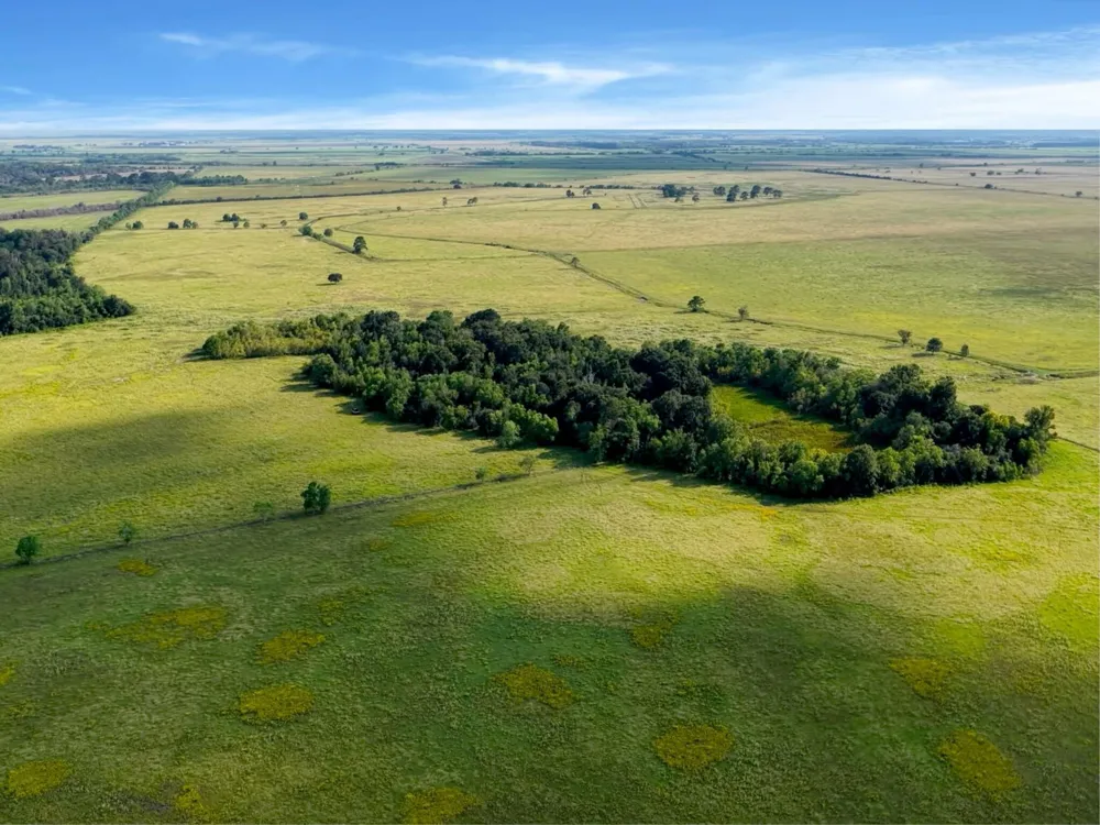 Hwy 65 Anahuac, TX 77514