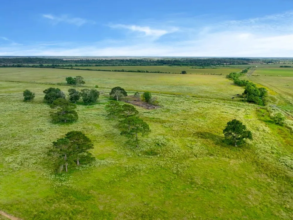 Hwy 65 Anahuac, TX 77514