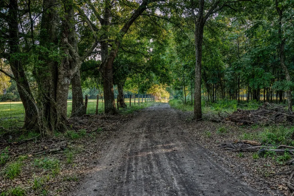 5344 Andert Road Bryan, TX 77808