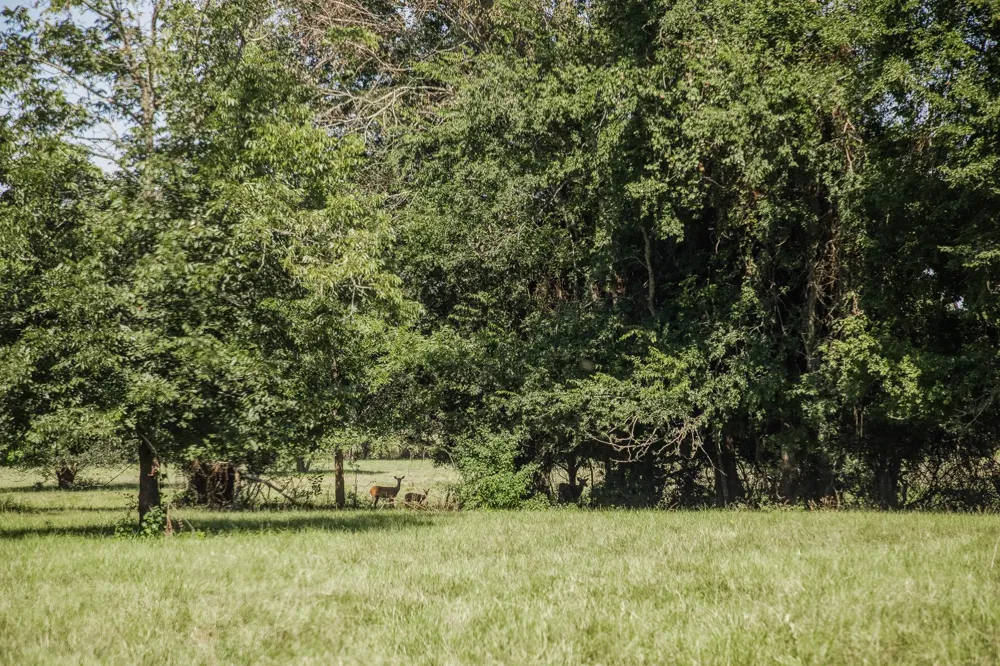 5344 Andert Road Bryan, TX 77808