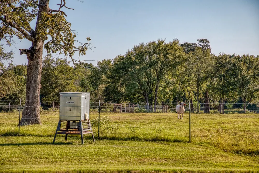 5344 Andert Road Bryan, TX 77808