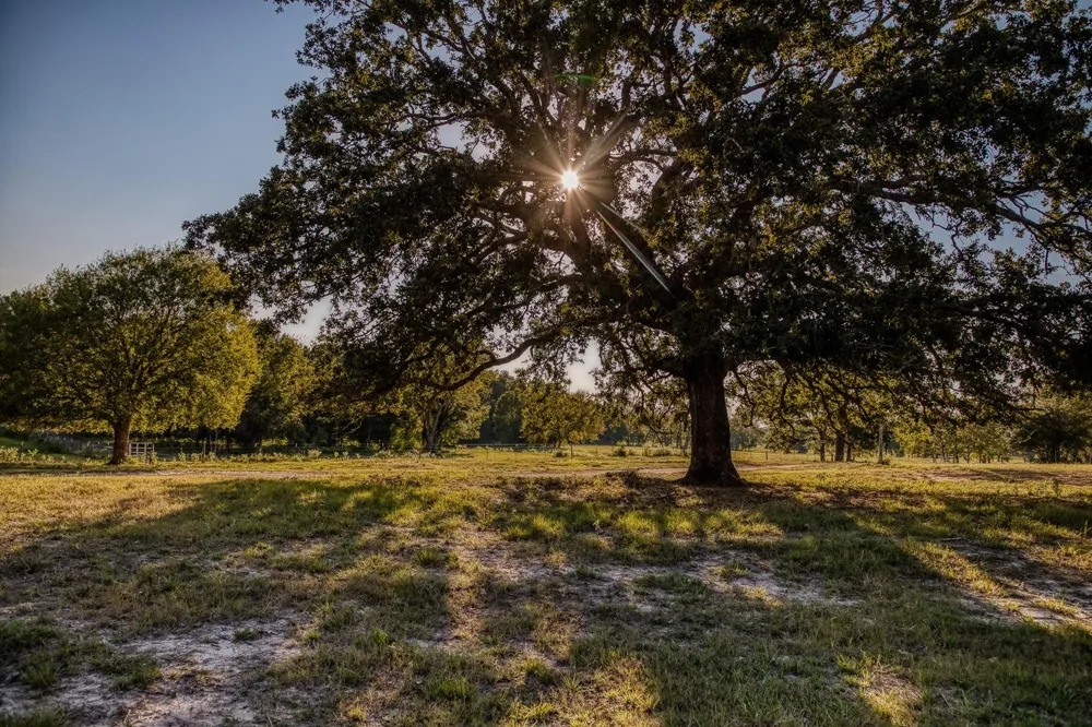 5344 Andert Road Bryan, TX 77808