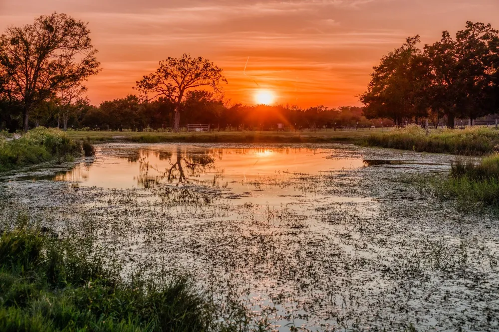 5344 Andert Road Bryan, TX 77808