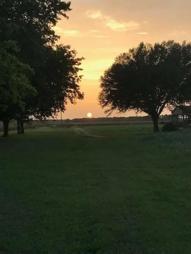 9411 Heron Lane Bellville, TX 77418