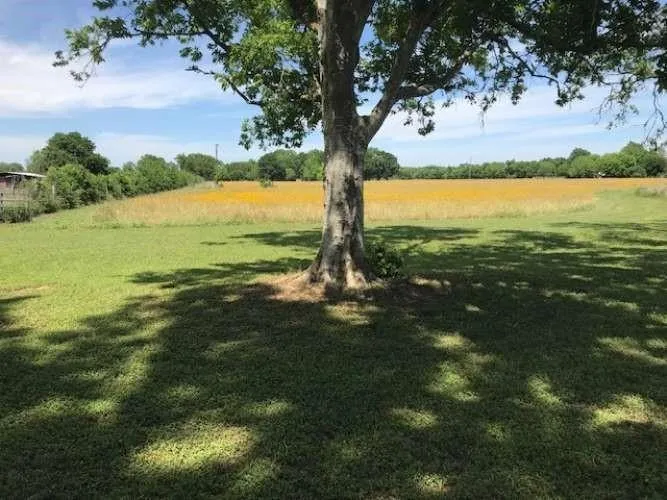 9411 Heron Lane Bellville, TX 77418