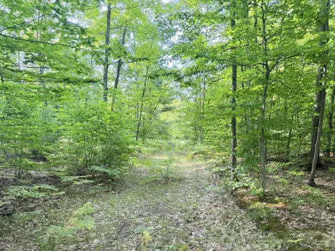 3 Mile Road