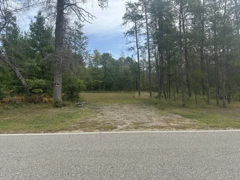 Spruce Road