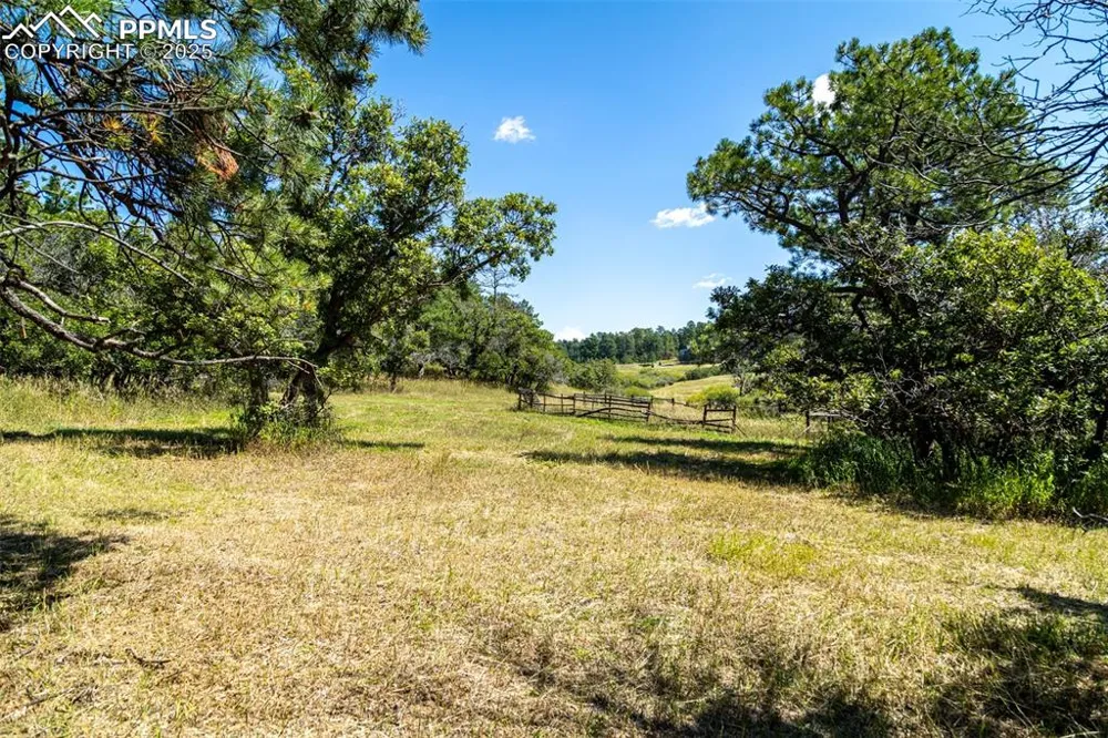 331 Grandwood Drive Monument, CO 80132
