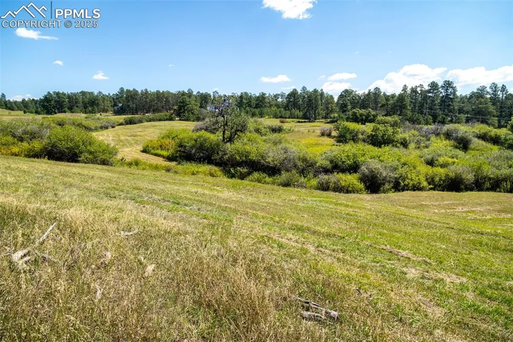 331 Grandwood Drive Monument, CO 80132