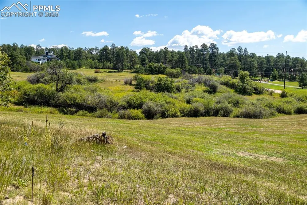 331 Grandwood Drive Monument, CO 80132
