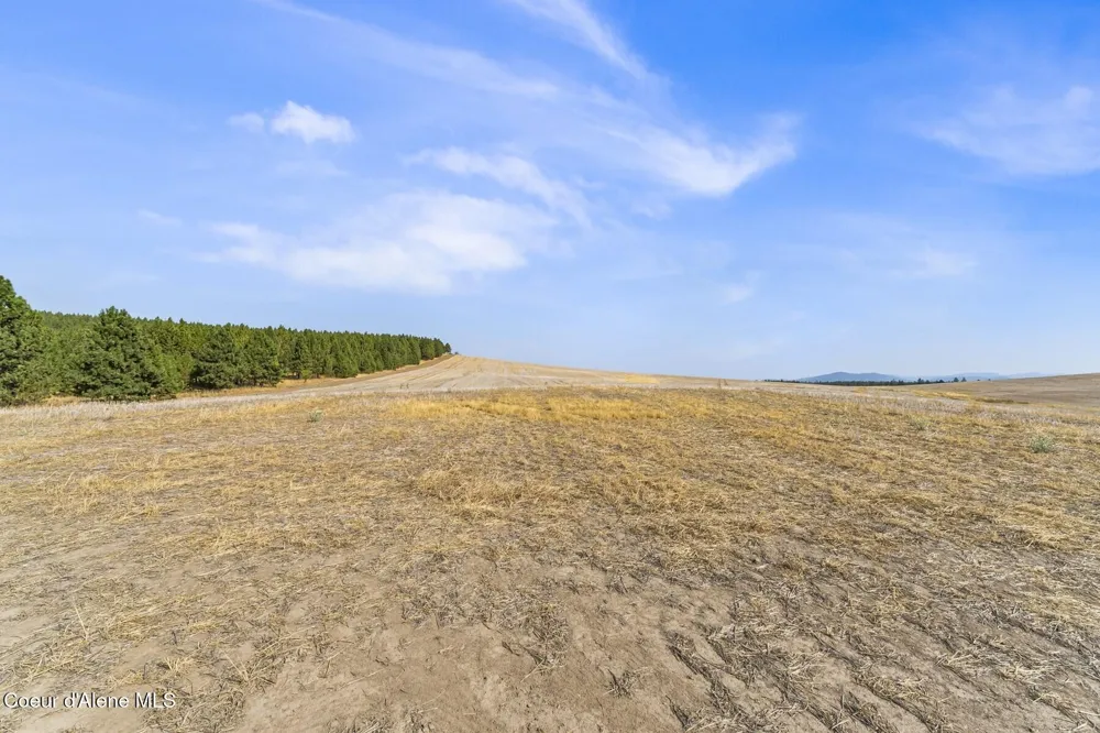 8597 W Rolling Hills Road Worley, ID 83876