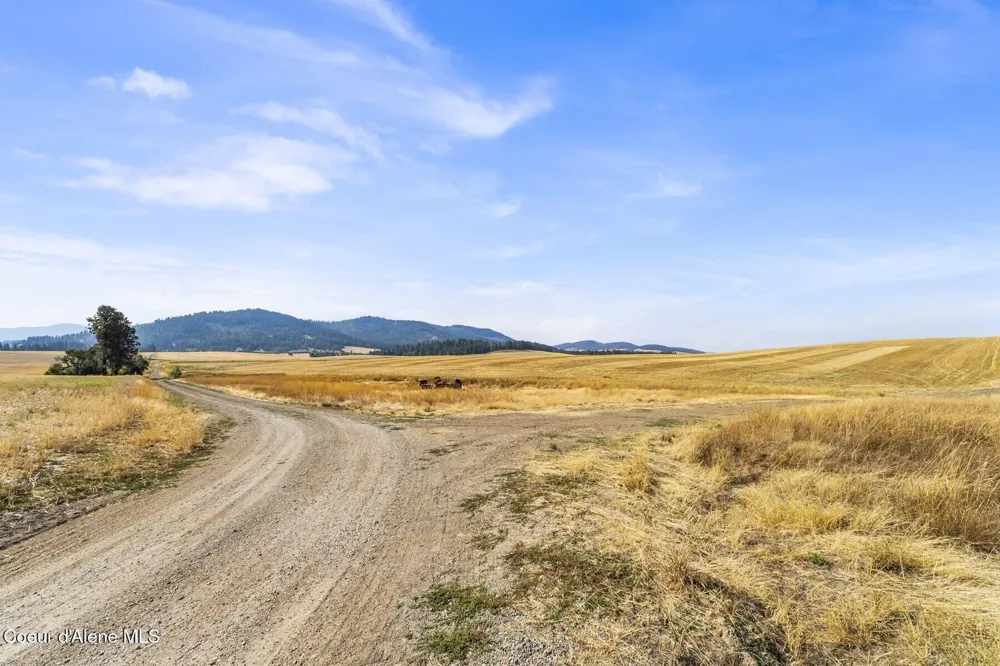 8597 W Rolling Hills Road Worley, ID 83876
