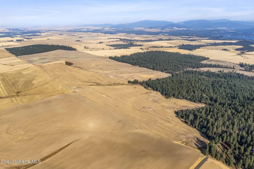8597 W Rolling Hills Road Worley, ID 83876