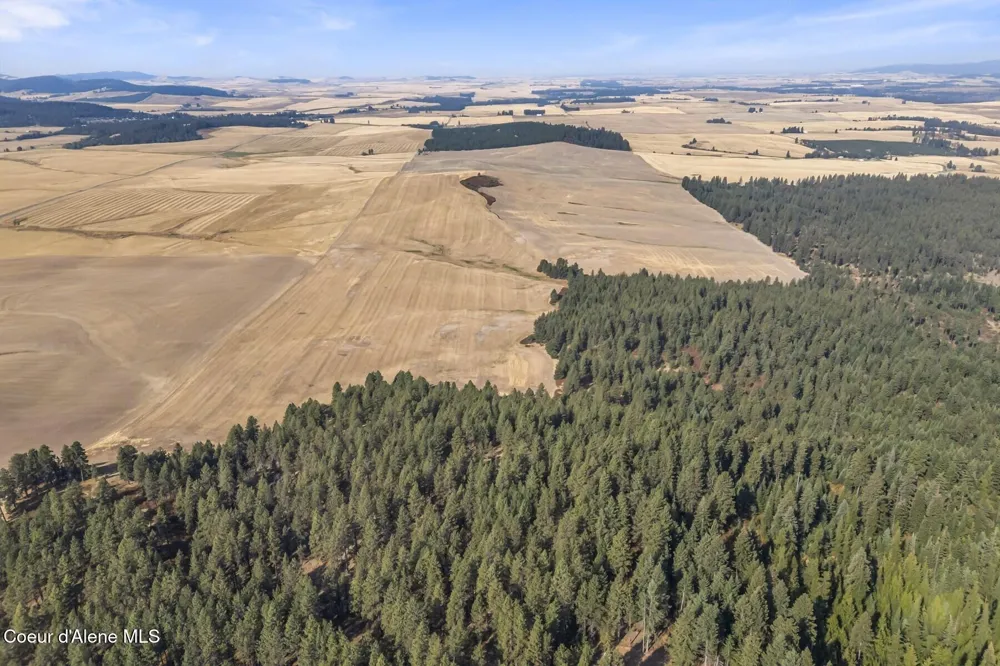 8597 W Rolling Hills Road Worley, ID 83876