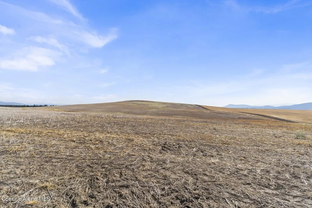 8597 W Rolling Hills Road Worley, ID 83876