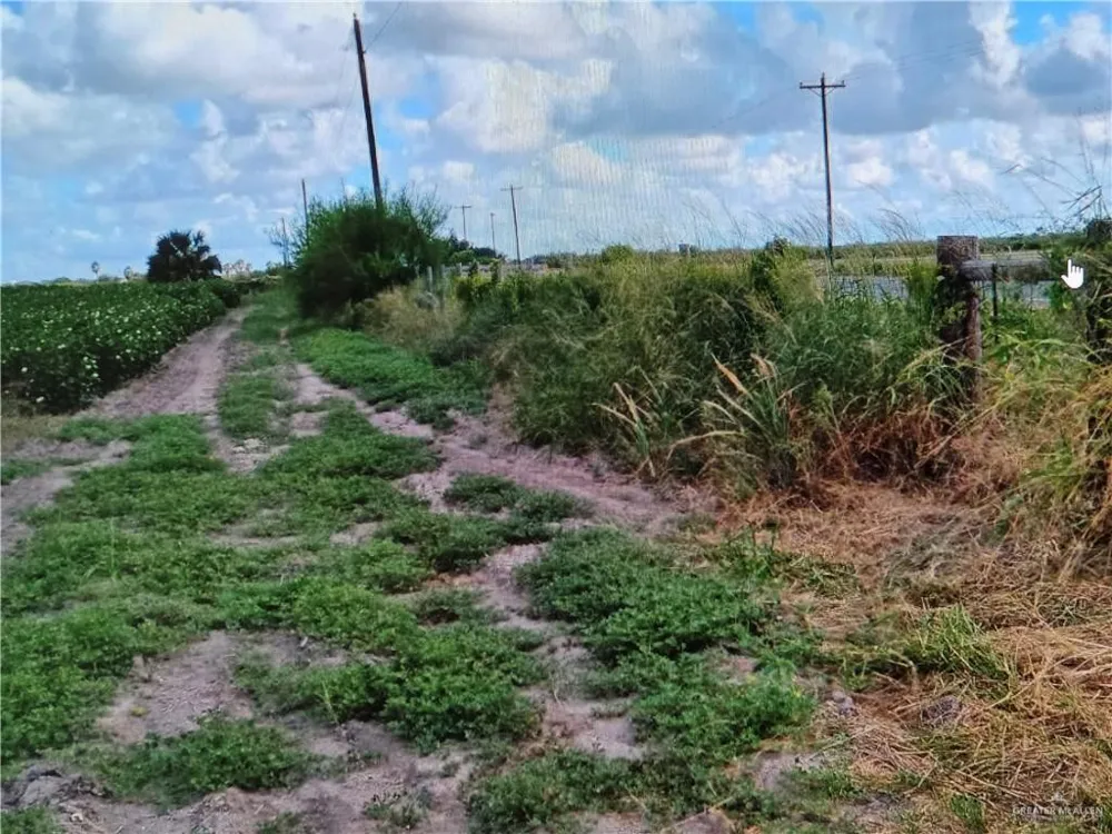 1 mile FM 1761 ROAD Raymondville, TX 78580