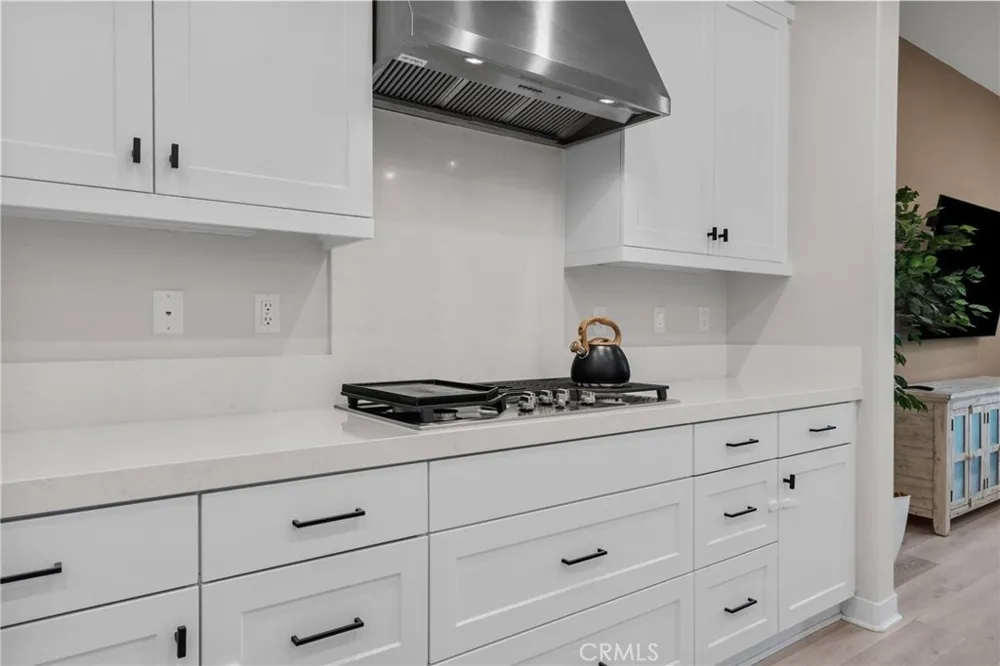 27258 Narrowleaf Willow Lane Valencia, CA 91381