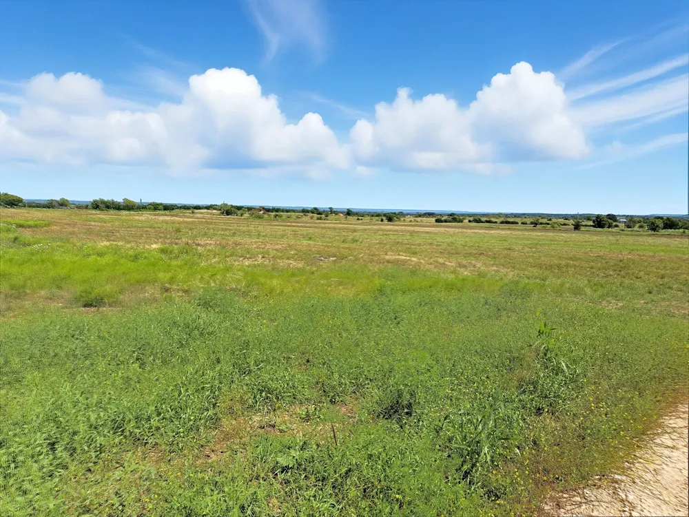 FM 116 ROAD Gatesville, TX 76528