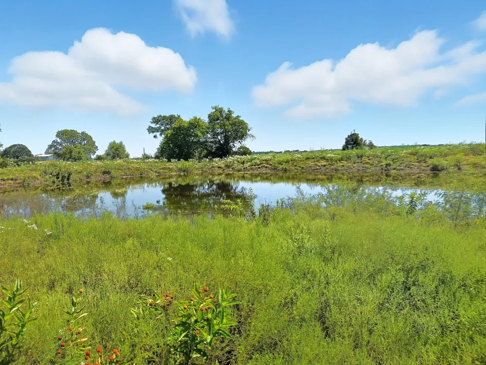 FM 116 ROAD Gatesville, TX 76528