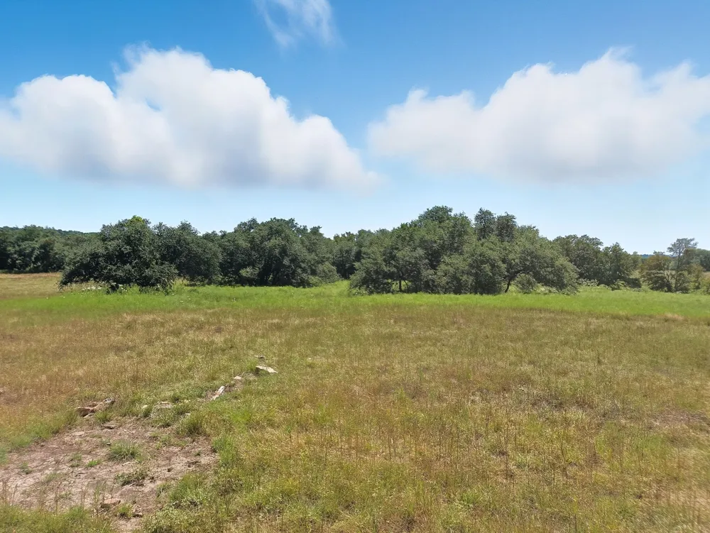 FM 116 ROAD Gatesville, TX 76528