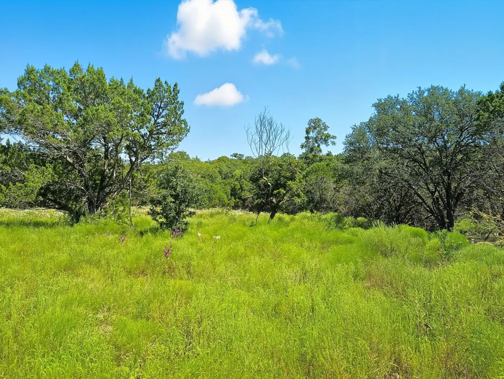 FM 116 ROAD Gatesville, TX 76528