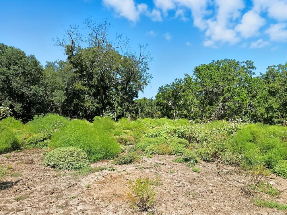 FM 116 ROAD Gatesville, TX 76528
