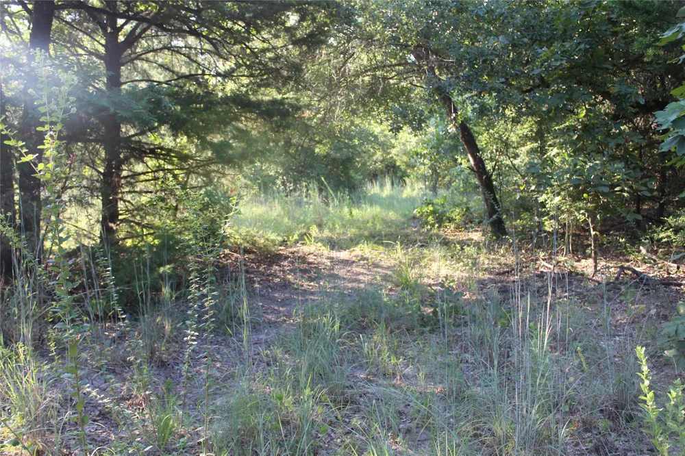 CR 935 Teague, TX 75860