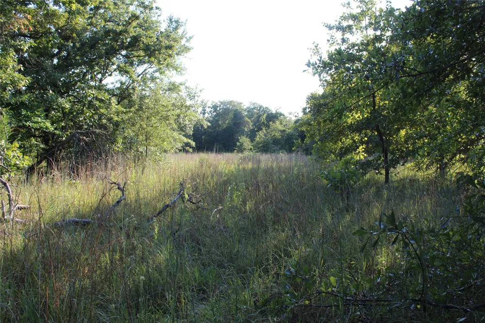 CR 935 Teague, TX 75860