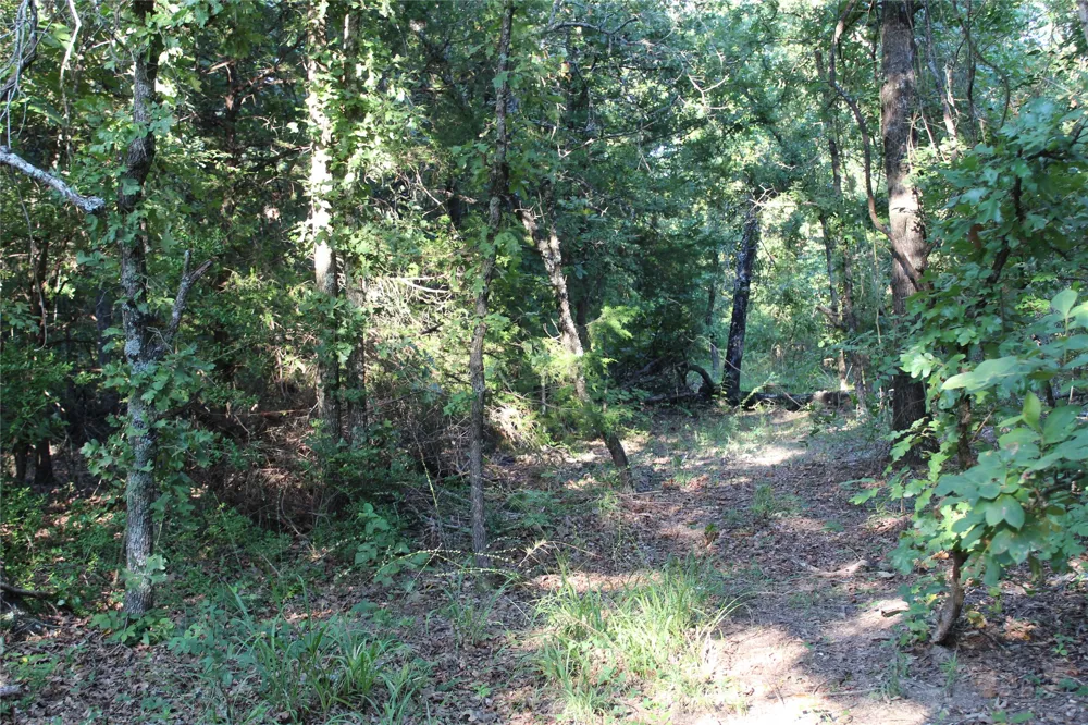 CR 935 Teague, TX 75860